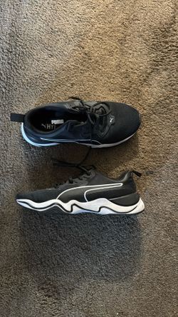 Pumas