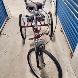 17 Speed Adult Folding Bike 