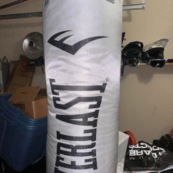 Everlast Boxing Bag 