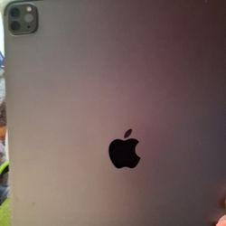 Apple Ipad Pro 12.5 Inch (5th Gen) NEW 2024 Unlocked 