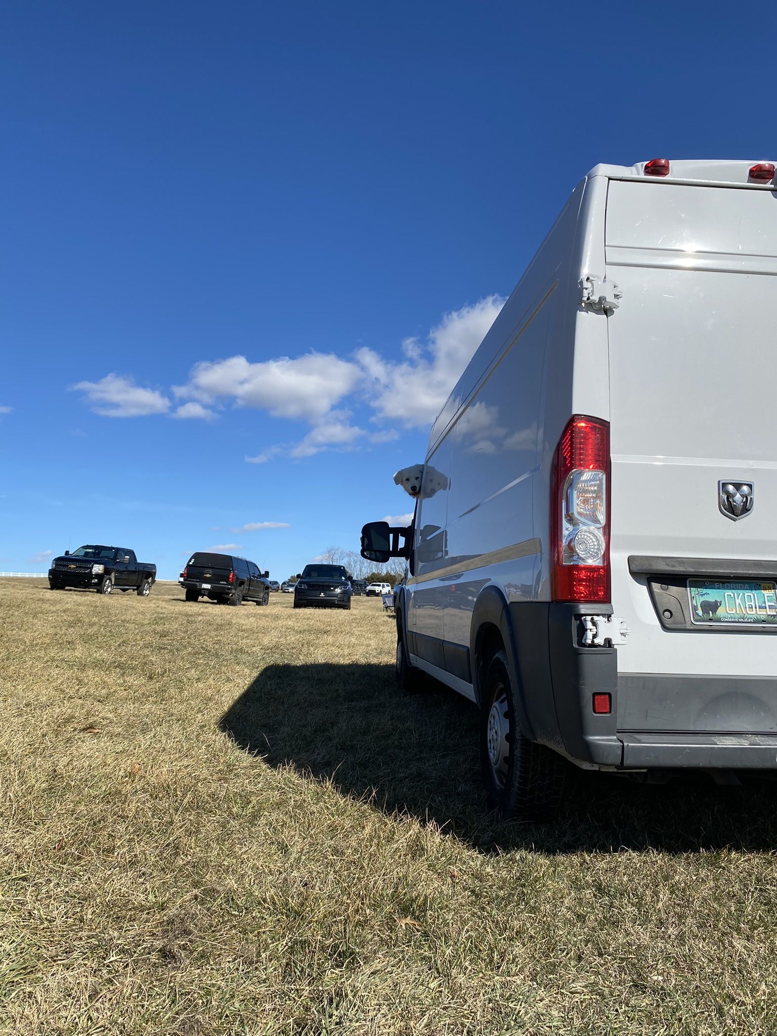 2017 Pro Master Ram 2500 Van