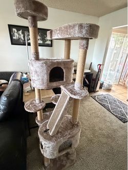 Cat tree brand new