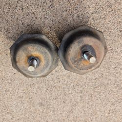 Tacoma Front Bump Stops (Pair) – 2022,