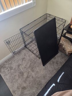 36×22×24 dog crate