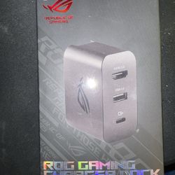 Asus Rog Ally Charging/hdmi Display 