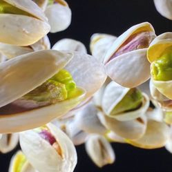 Lg Sm9000 65 Inch For Sale Or Trade