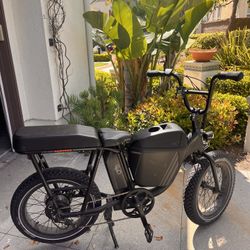 Rad Runner Ebike With Additions