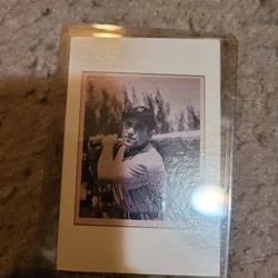 Yogi B. Baseball Card