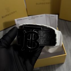 Blueberry Reversible Belt