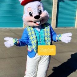Rabbit  Costume For Sale