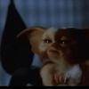 Gizmo Boi