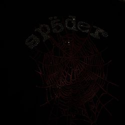 Spider Hoddie Rinestones 