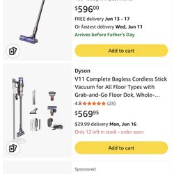Dyson V11