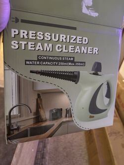 Pressurized steam cleaner