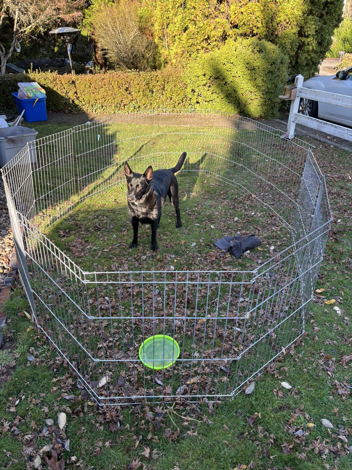 Large Metal Dog Pen