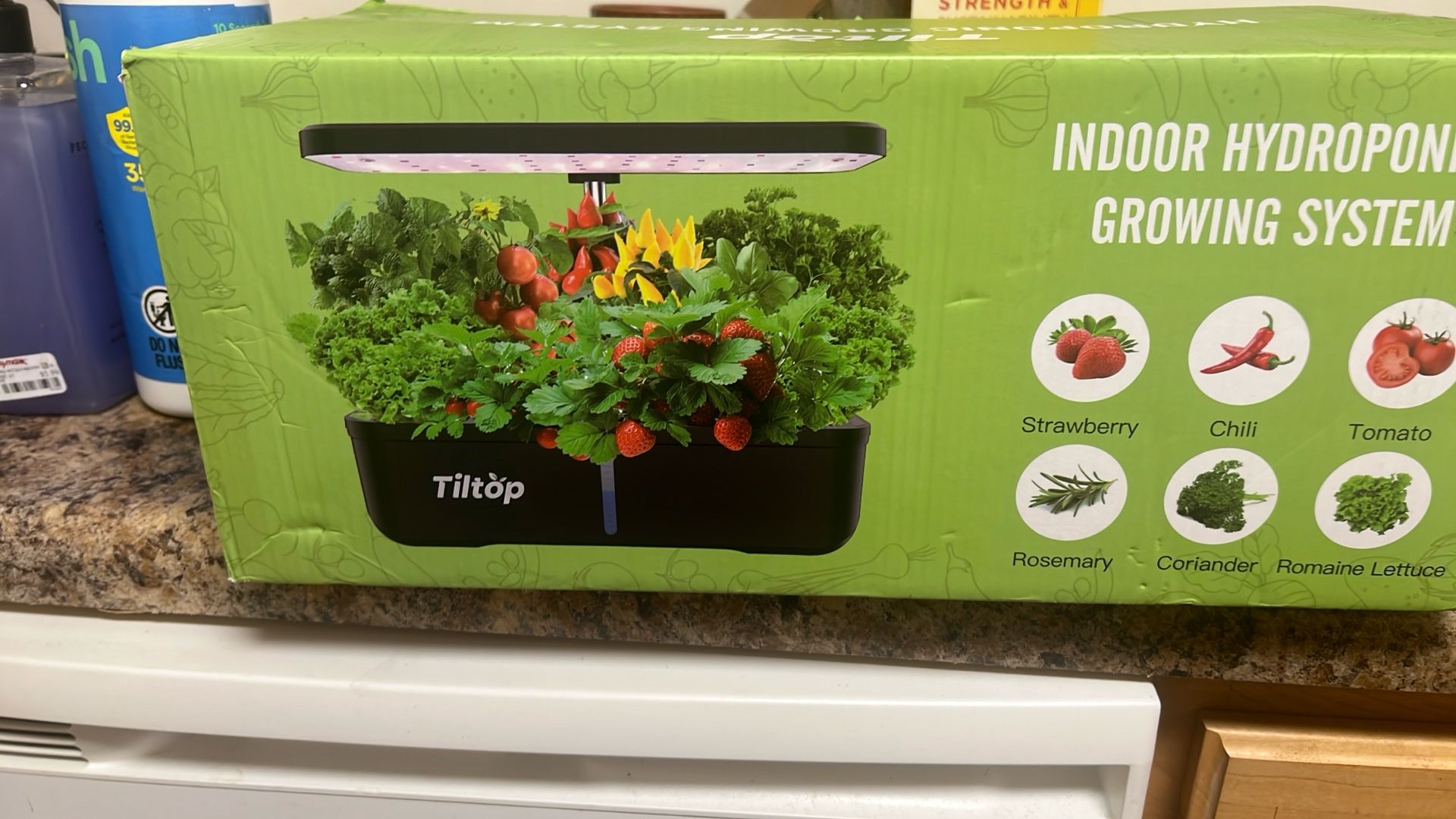 Hydroponic Growing System 