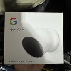 Nest Cam