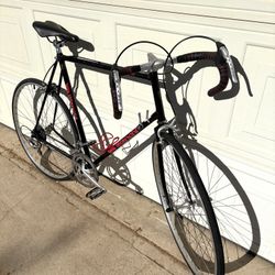 Vintage Bianchi Strada LX, XL Frame