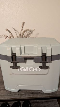 Igloo cooler 25qt