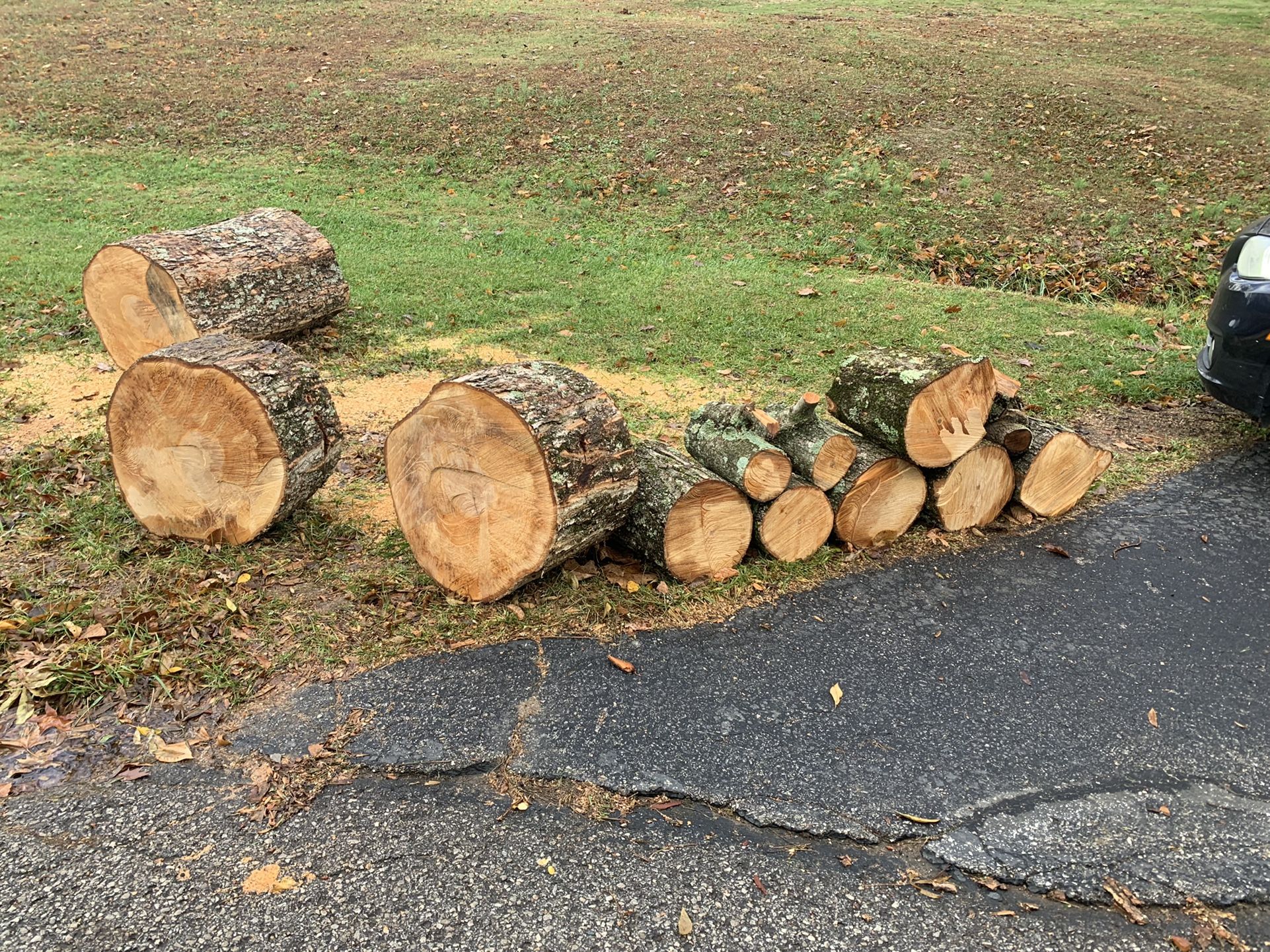 Free Firewood (Greenville Indiana)