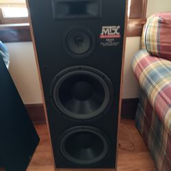 Mtx AAL212 HOUSE SPEAKER SET