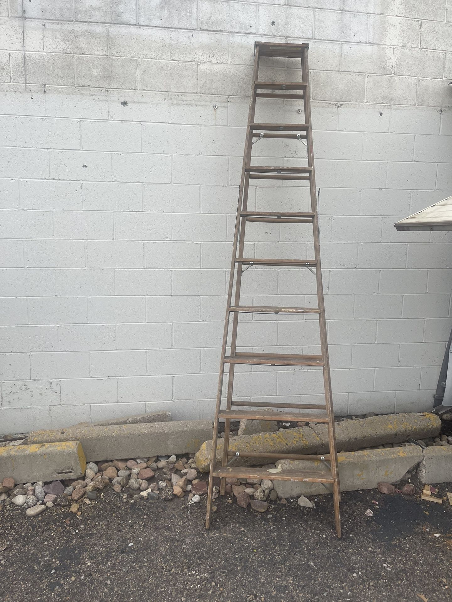 Antique Ladder