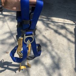 Harness