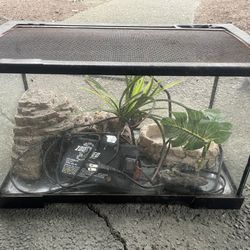 Reptile Tank 