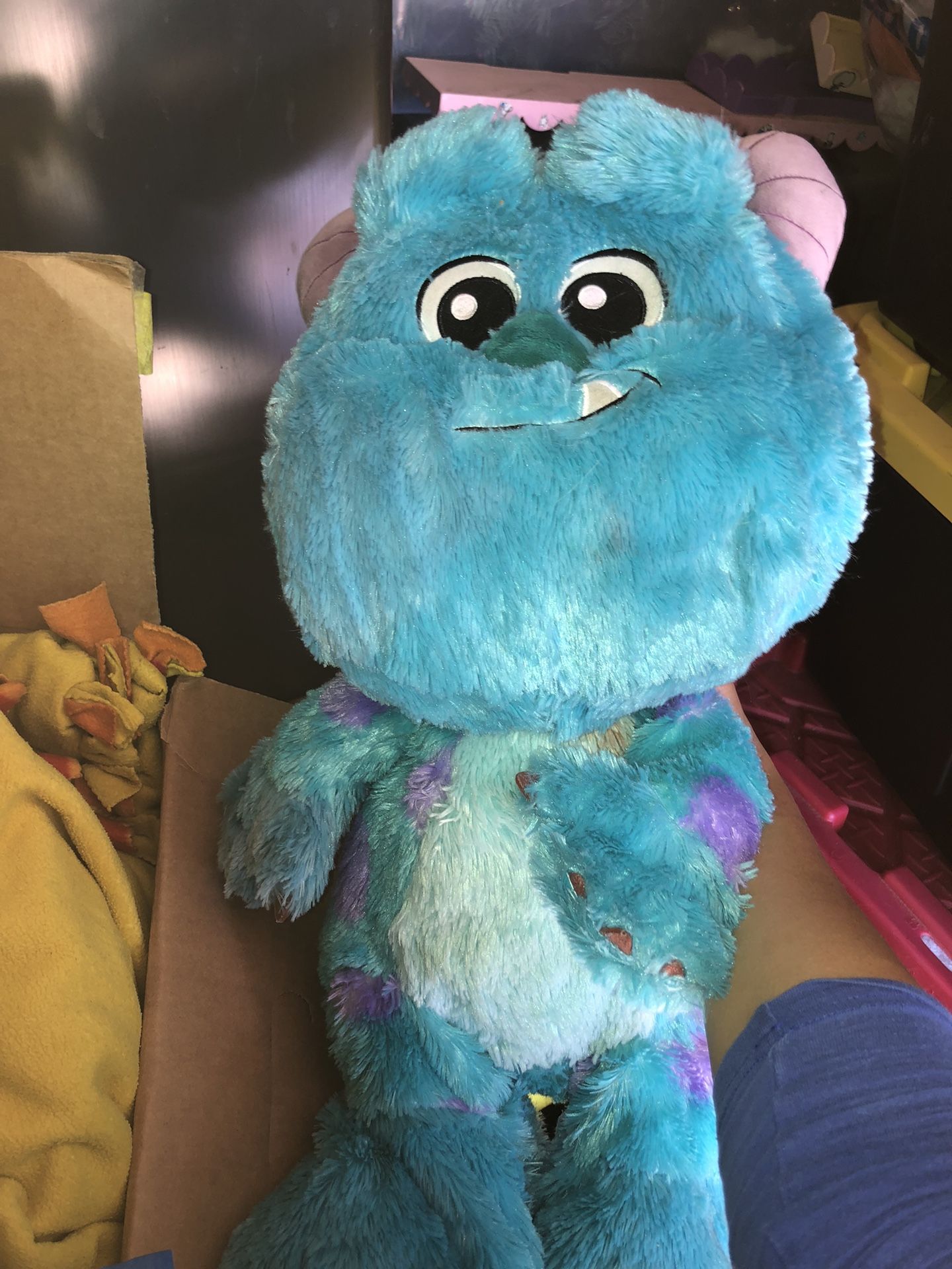 plushie it's from Disneyland 