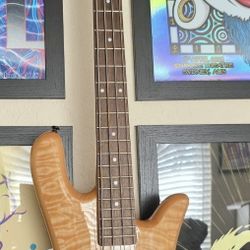 Spector Legend 4 Nordstrand Custom