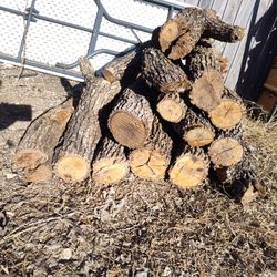 Round Splits Hard Oak