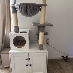 Cat Tree