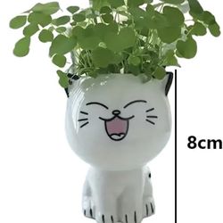 Little Ceramic Or For Plants 🪴 