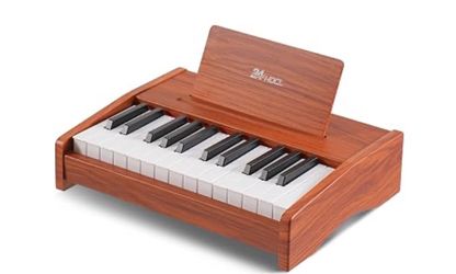 Kids Piano Keyboard, 25 Keys Digital Keyboard Mini Music Educational Instrument Toy, Rechargeable