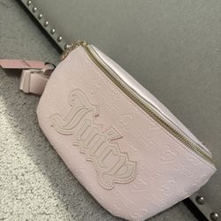 Juicy Pink Fanny PAC New Price Firm $25 