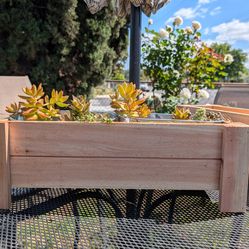 Handmade Tabletop Wood Planter – Perfect for Succulents & Herbs