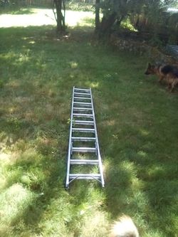 Extension ladder
