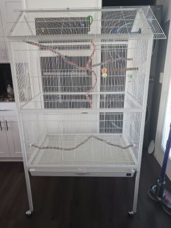Huge Bird Flight Cage