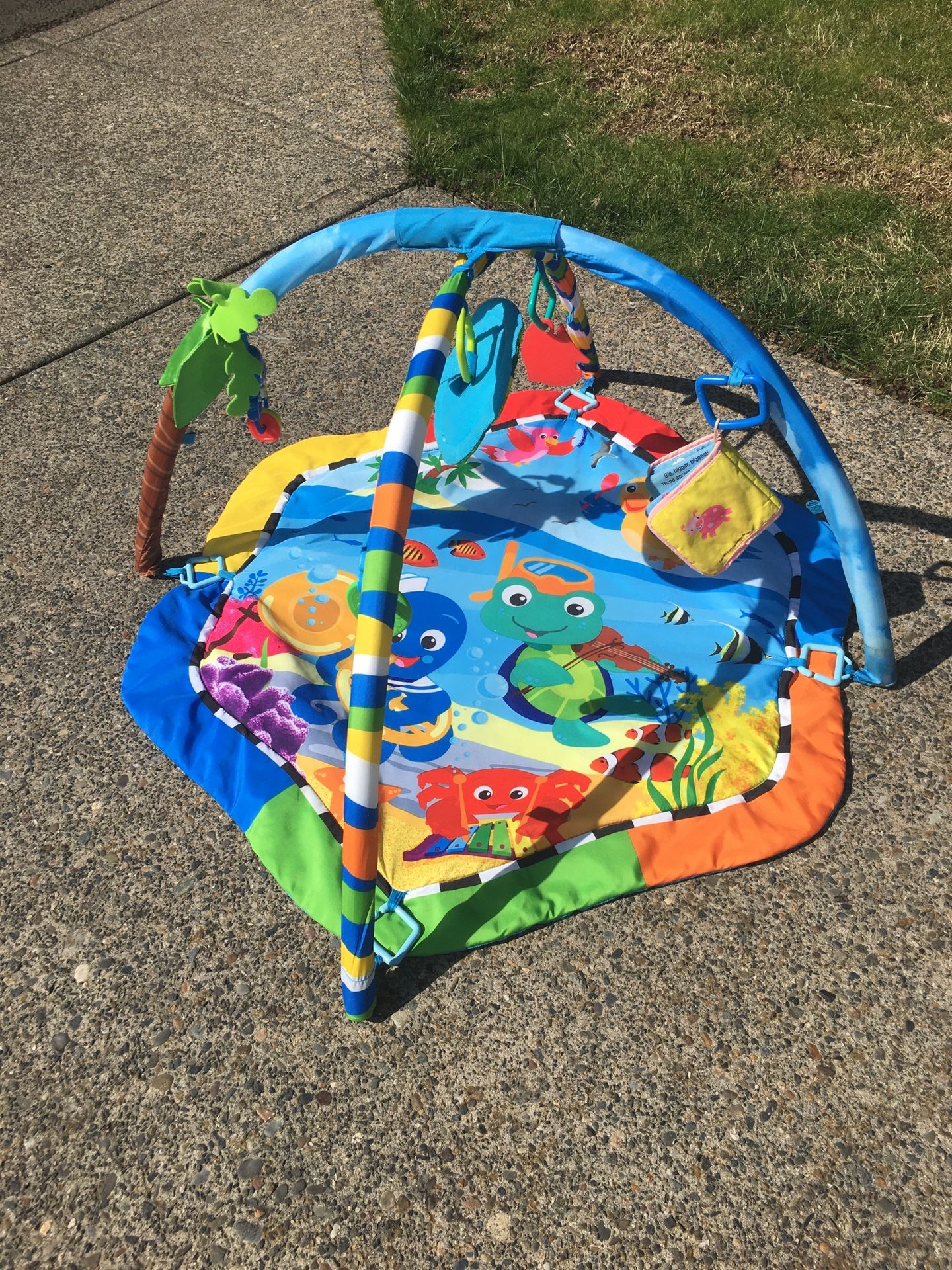 Baby Activity Playmat
