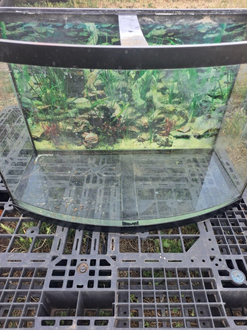 Aquarium