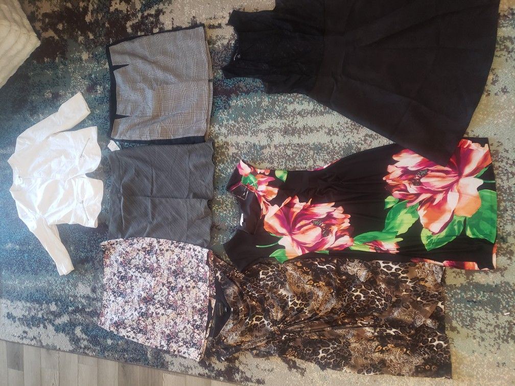 Dress Clothing Lot