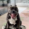 Duke