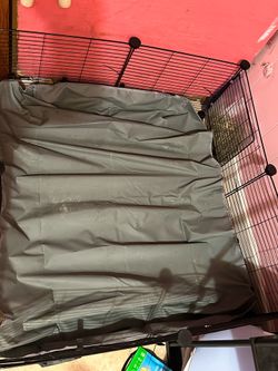 Bunny cage