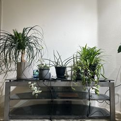 Tv/Entertainment Stand 