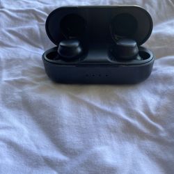 Ear buds work perfect