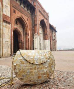 Mother Of Pearl Purse