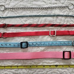 Dog Collars, Harnesses, Leashes, Etc