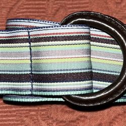 Multiple Colored Adjustable Belt 