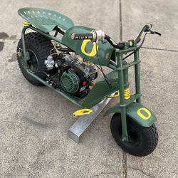 U of Oregon Custom Duck Minkbike