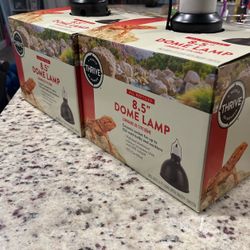 Reptile Lamp